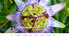 Desktop Screenshot of lyranara.me