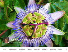 Tablet Screenshot of lyranara.me